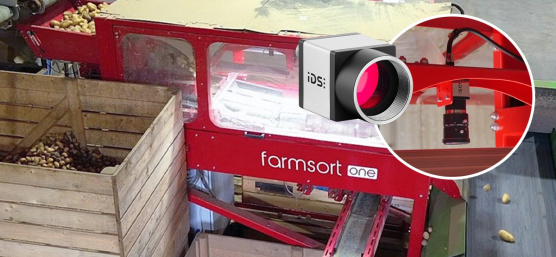 Farmsort 시설에서 감자 선별 과정을 모니터링하는 IDS 산업용 카메라