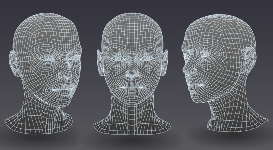 얼굴의 3D 모델은 자동 식별을 가능하게 합니다.