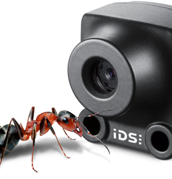 IDS XS 카메라와 그 앞에 놓인 비교용 개미