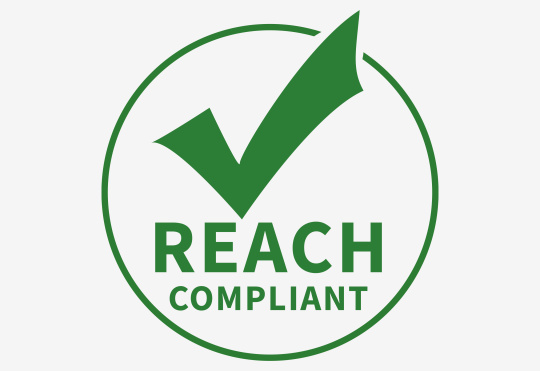 REACH 로고