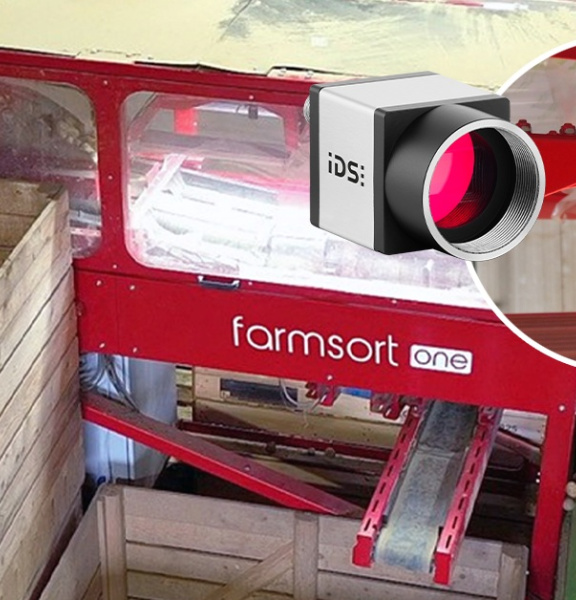Farmsort 시설에서 감자 선별 과정을 모니터링하는 IDS 산업용 카메라
